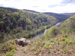 Below Symonds Yat