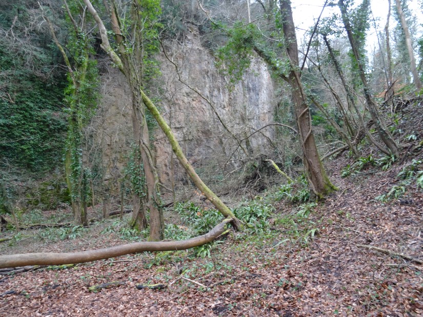 Woodland Trust kiln &amp; quary (4)