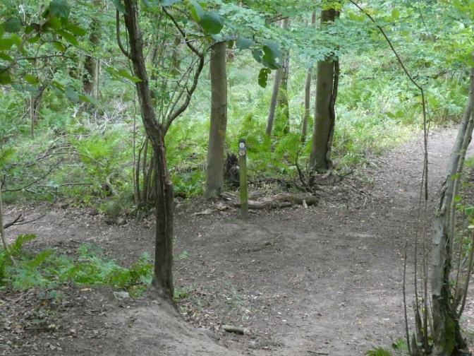 Way marker below King Arthur's Cave. 