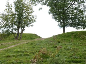 Little doward hill fort walk 2 (95)