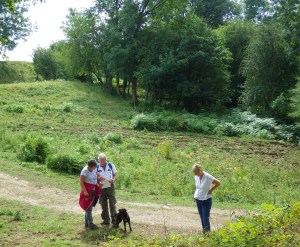 Hermitage behind the trees.