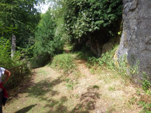 You will come down this small path.