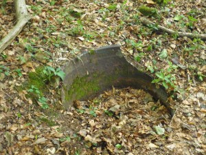 An old cauldron in Dennis Wood.