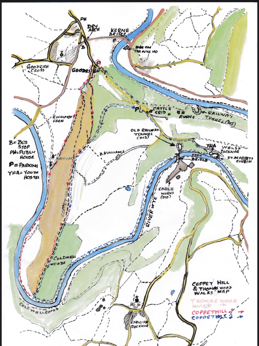 983C839F-4CF0-4F1E-A536-1F1D62BDEA35