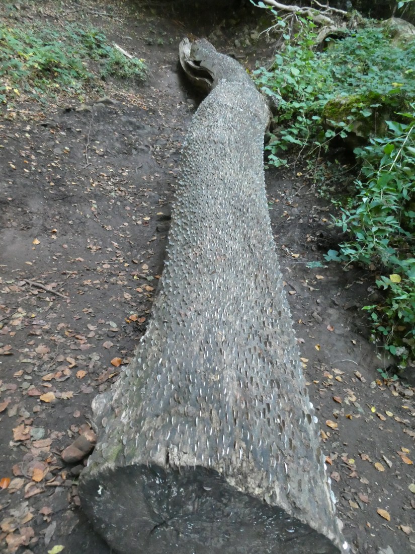 A757674F-2C15-426D-BA83-D1CC593E6219