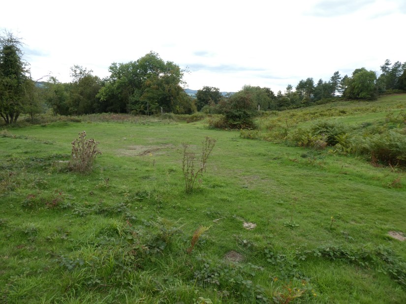 Little doward hill fort walk 2 (108)