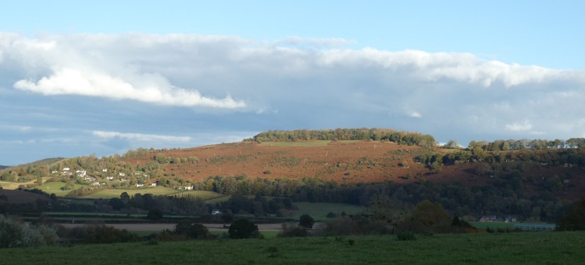 ACDB65C5-3071-4963-B128-C0357DD55075